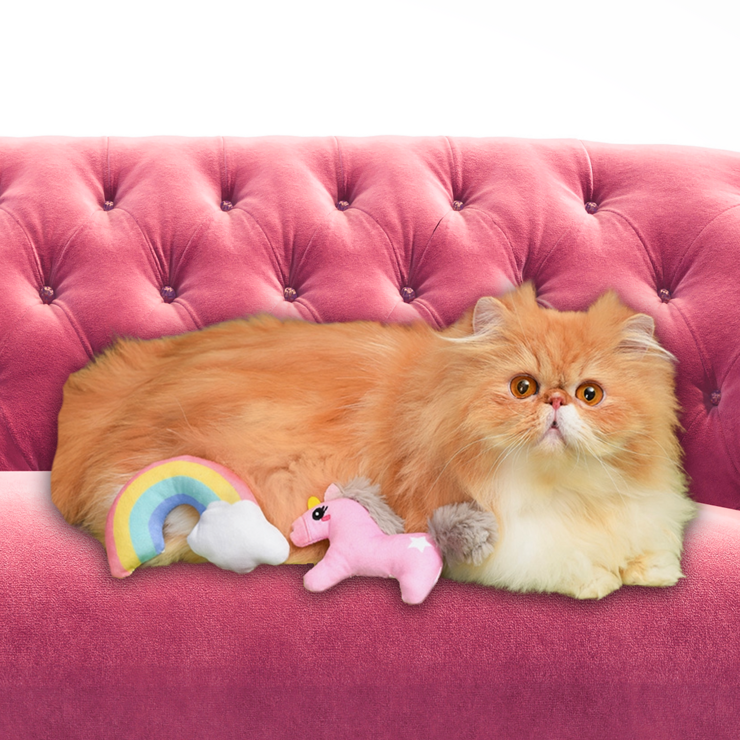 MAGICAL AF Cat Toy Set