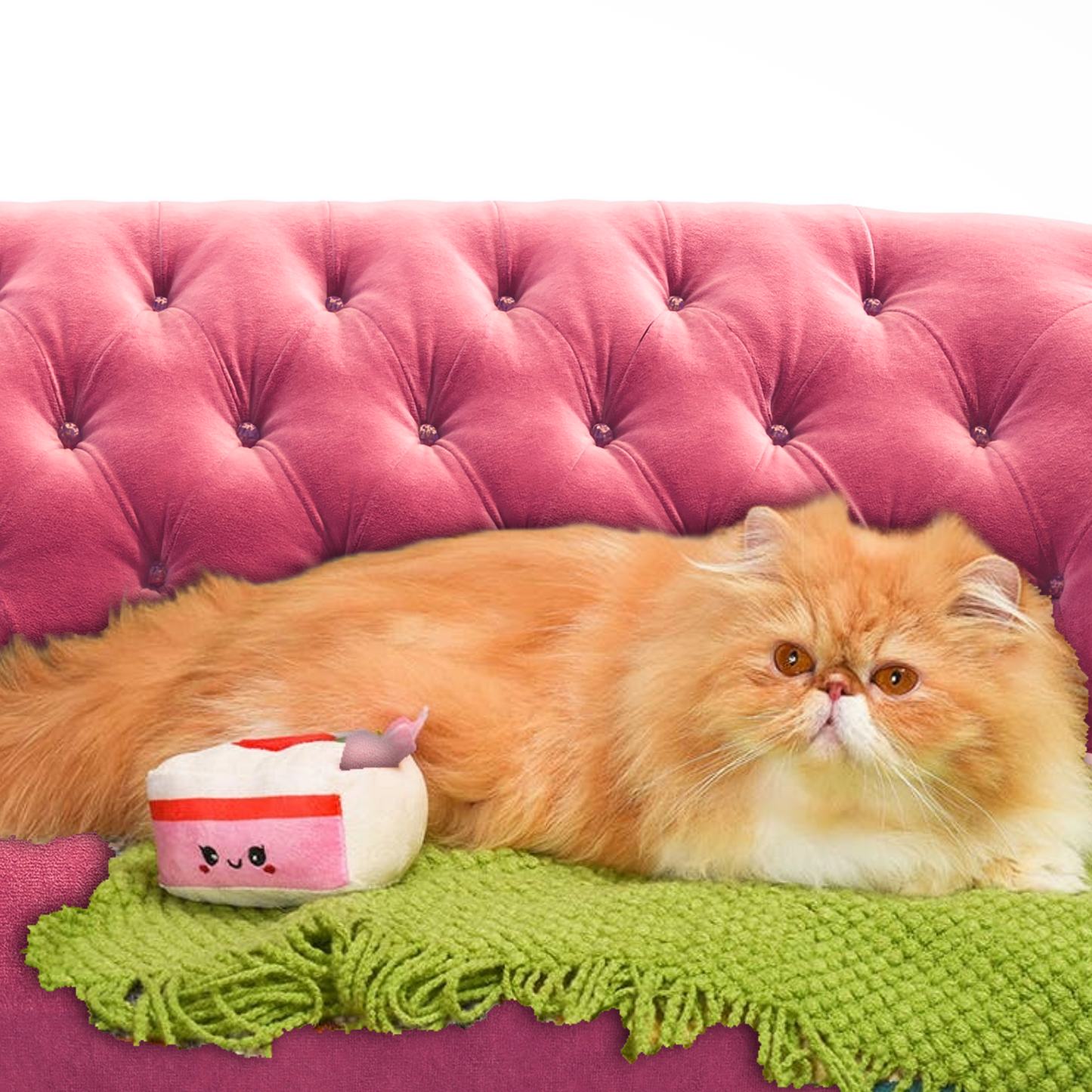 Go Shortcake, It's Your B-day Cat Toy