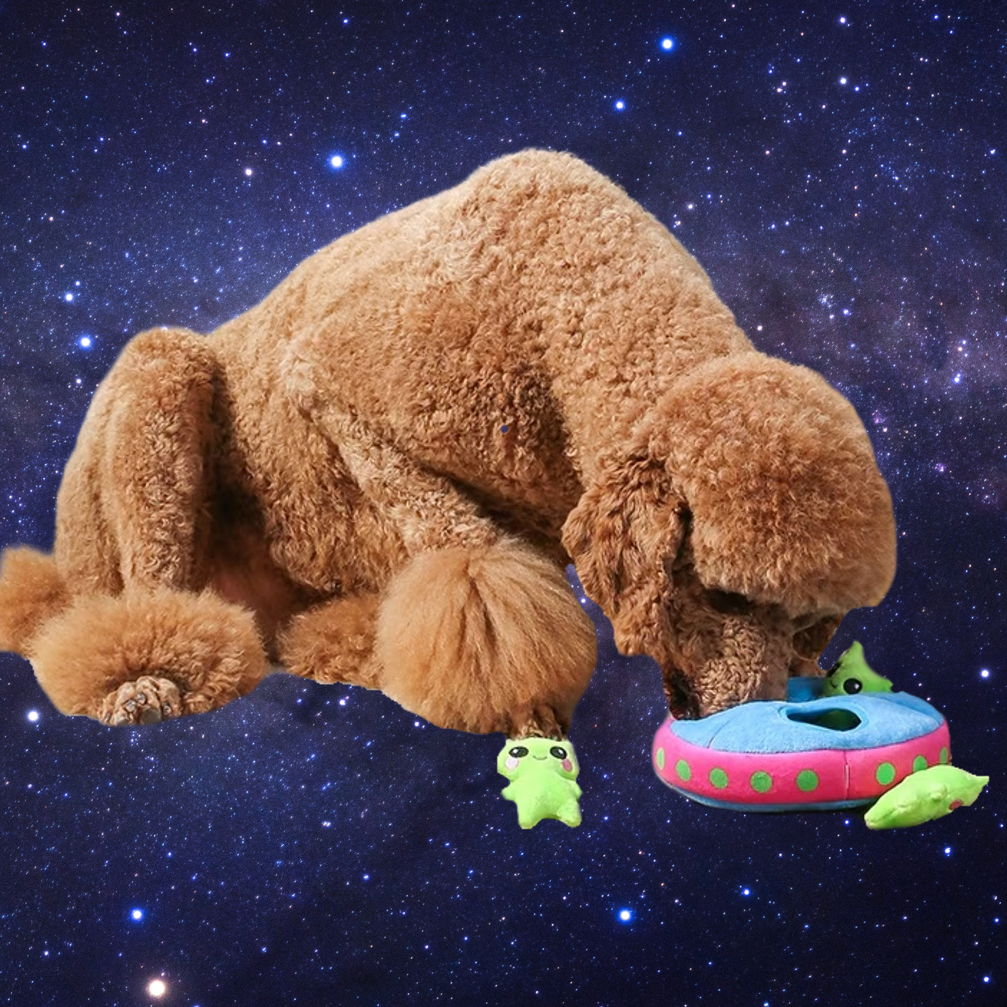 TAKE ME TO YOUR LEADER Toy