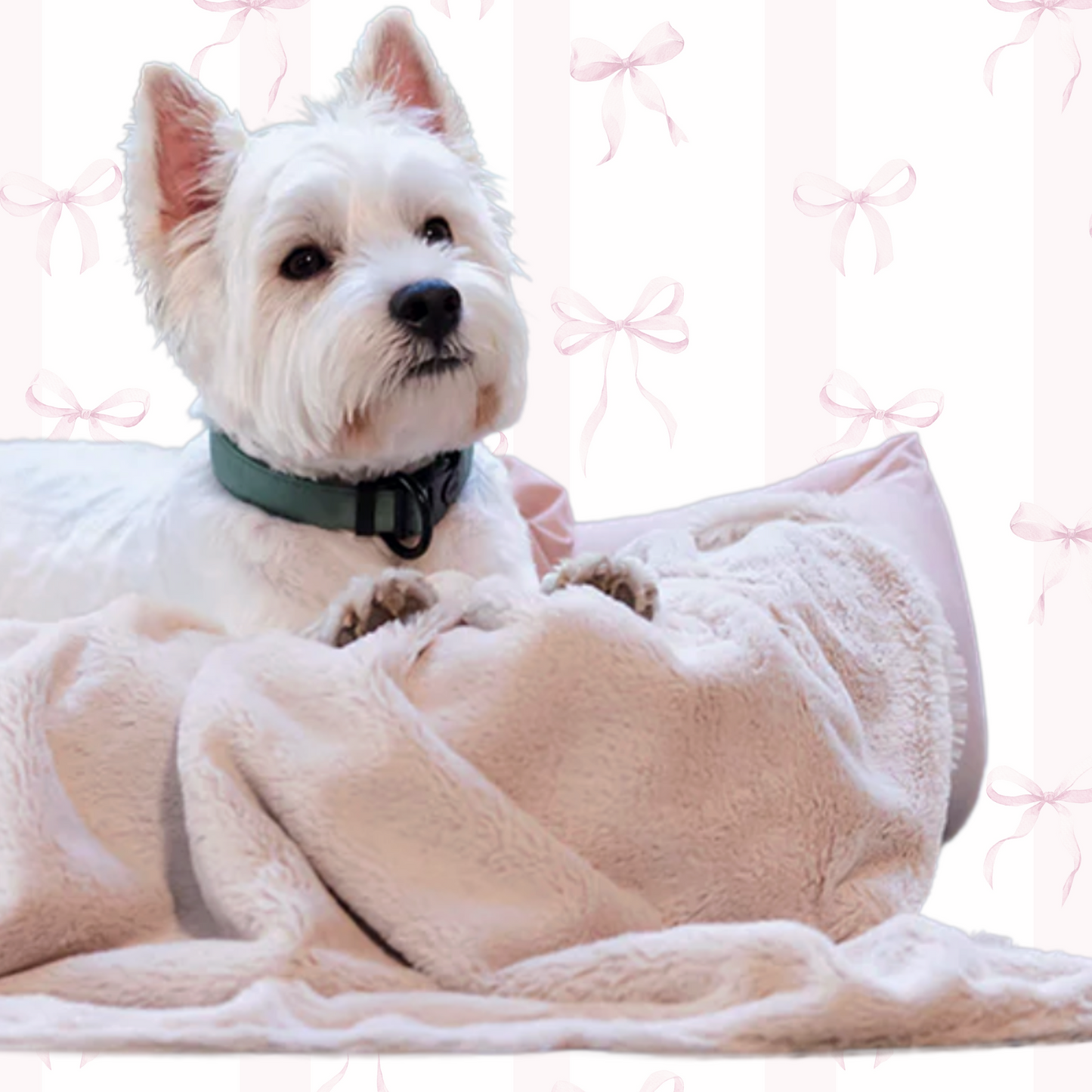 Zen Vibes Pet Blanket