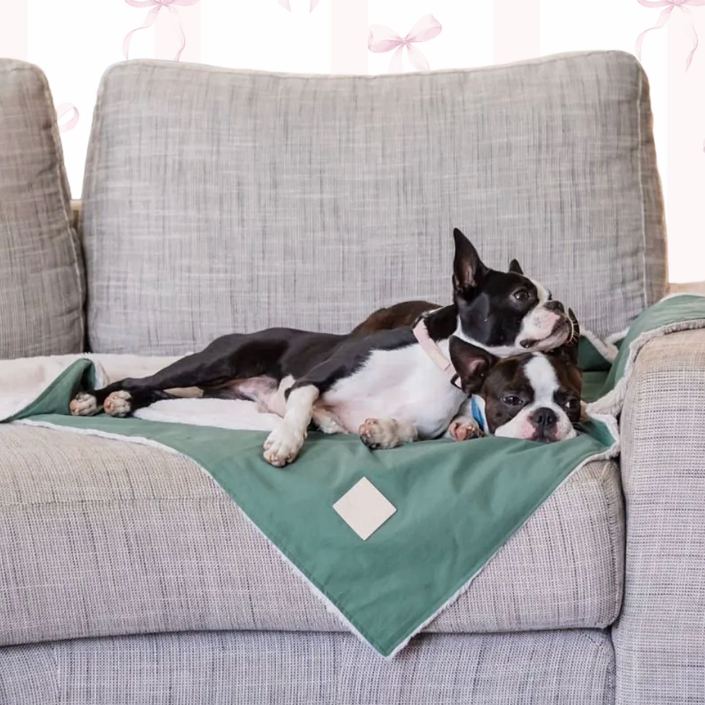 Zen Vibes Pet Blanket