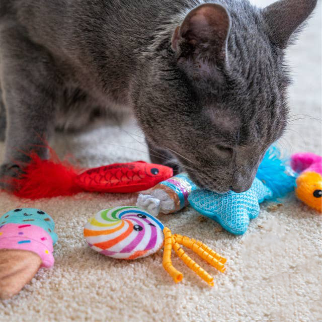 CANDY CHAOS Cat Toy Set