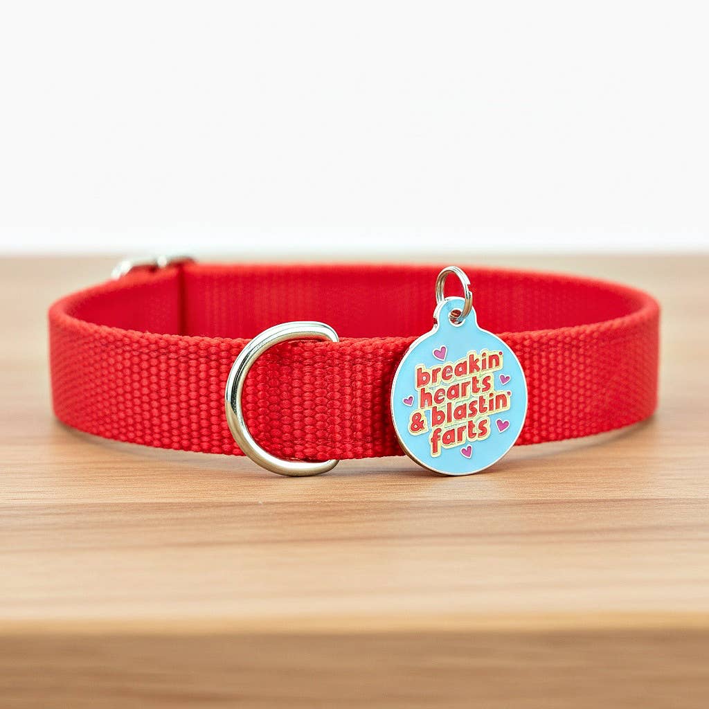 Breakin' Hearts Collar Tag