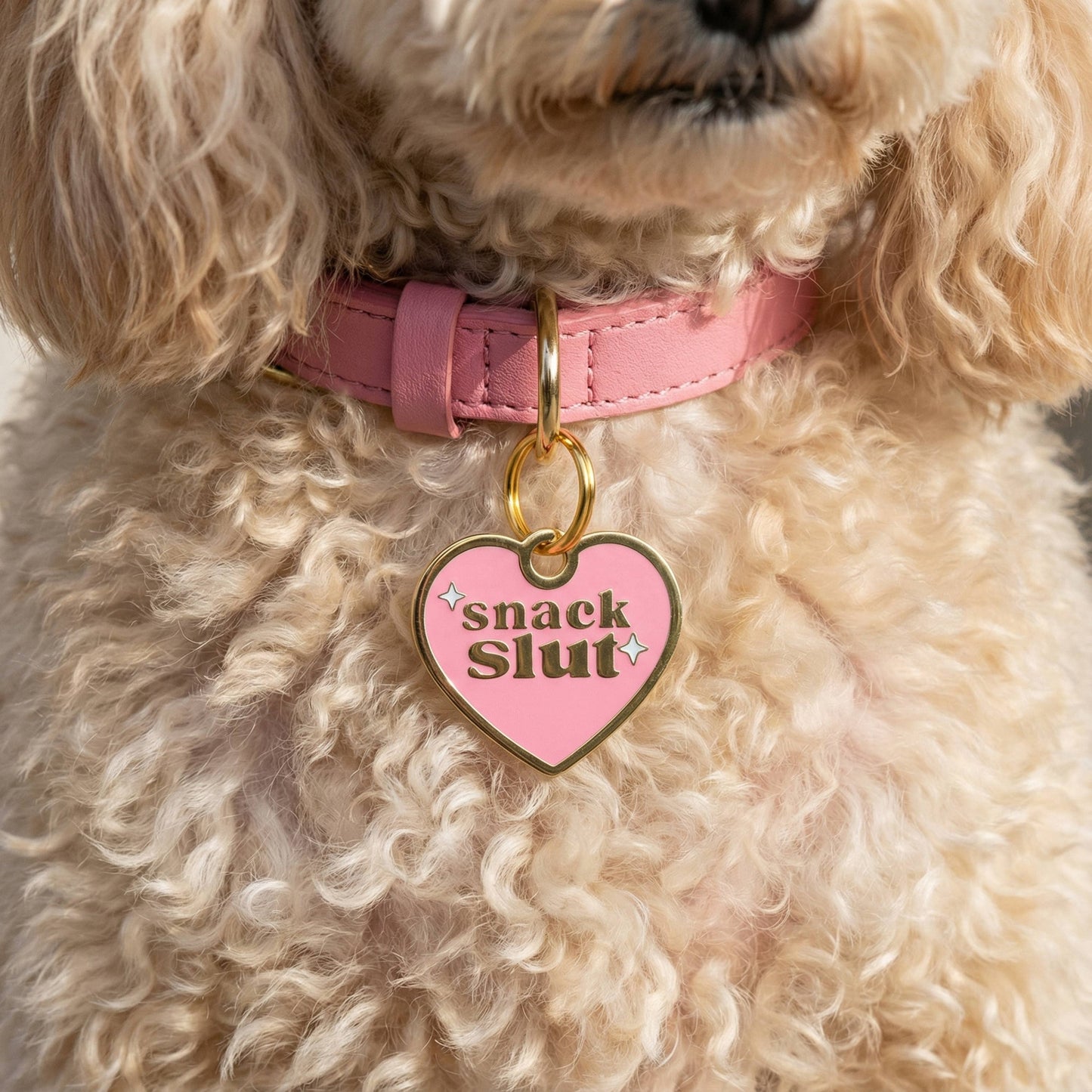 Snack Slut Collar Tag