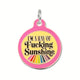Ray of Sunshine Collar Tag