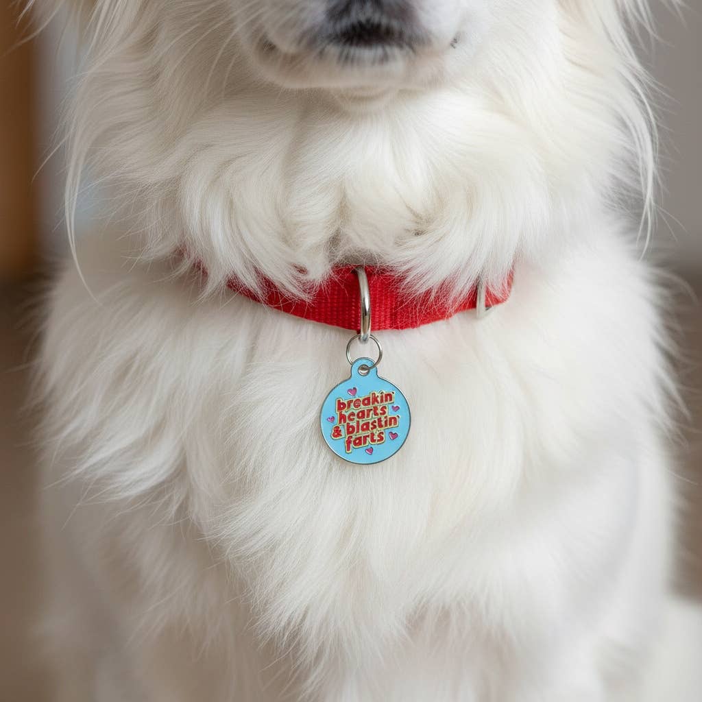 Breakin' Hearts Collar Tag