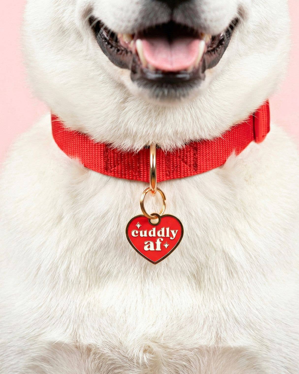 Cuddly AF Collar Tag