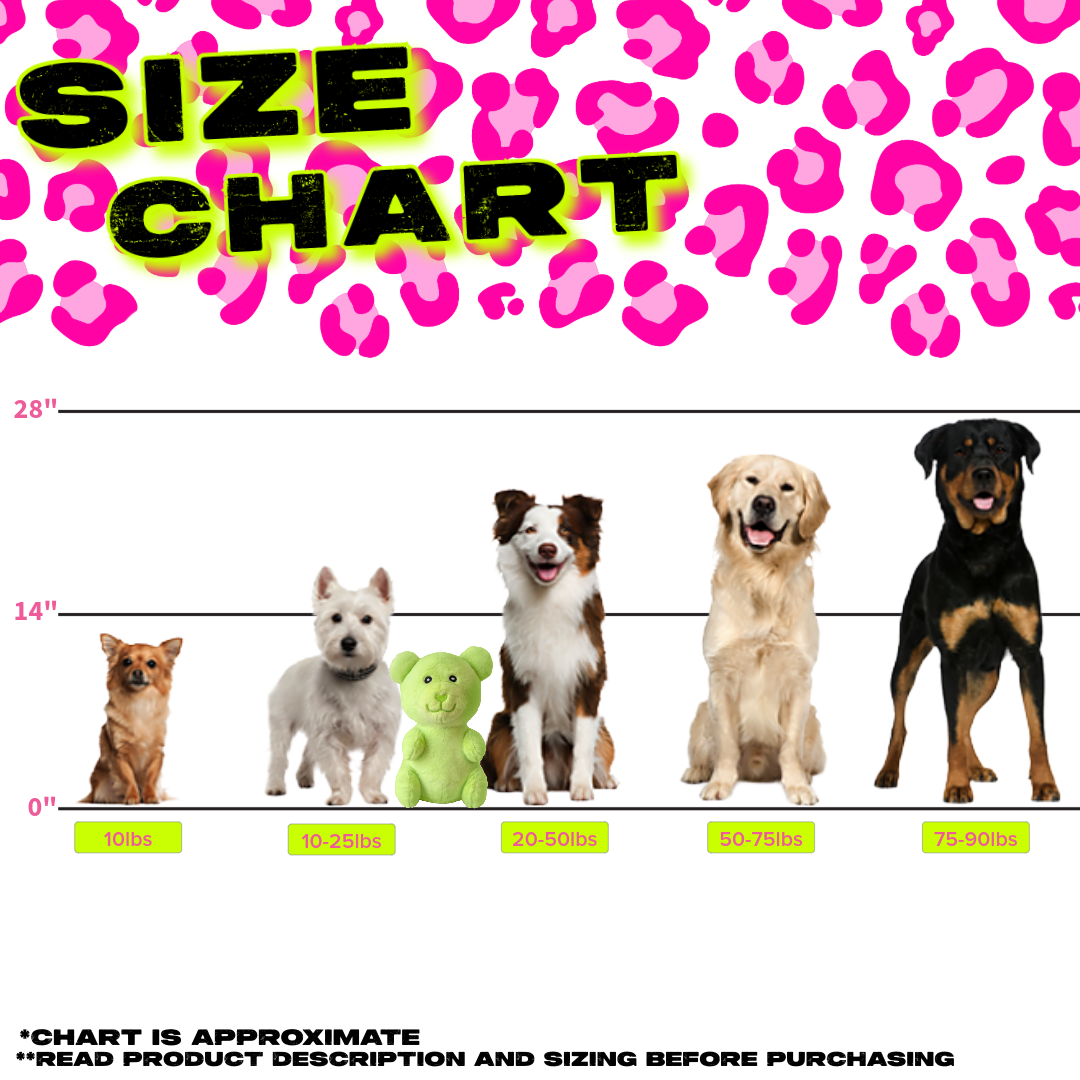 BIG NEON GUMMY BEAR DOG TOY