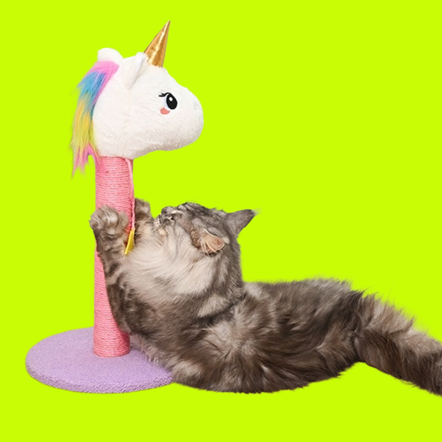 Unicorn Dreams Cat Scratcher