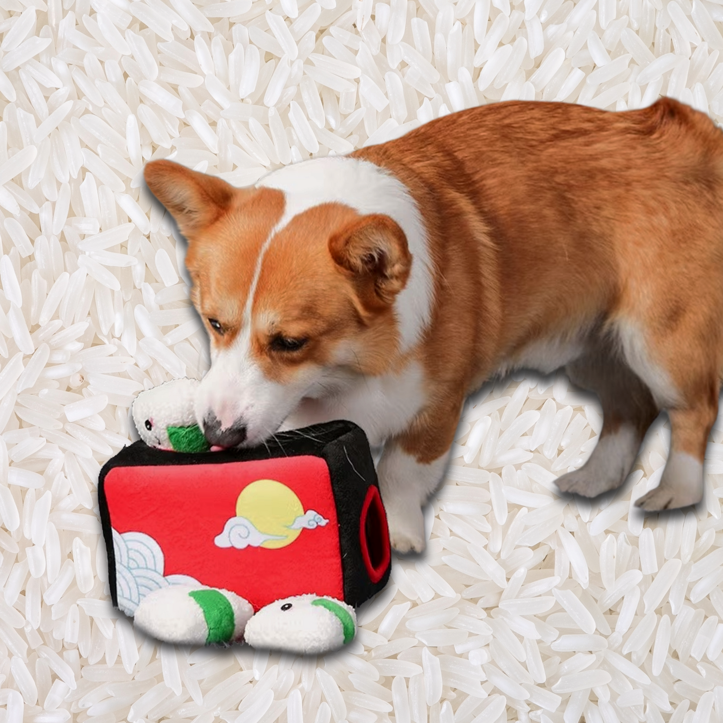 So Rice Together Toy