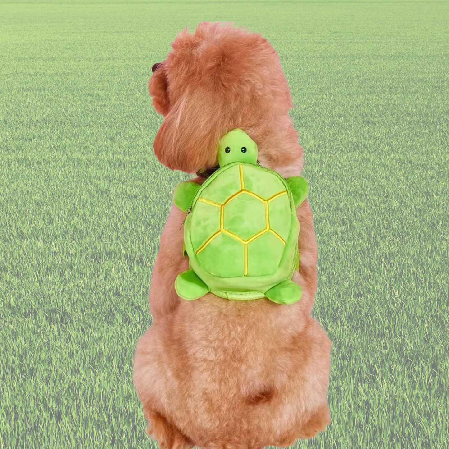 Turtle-y Cool Backpack