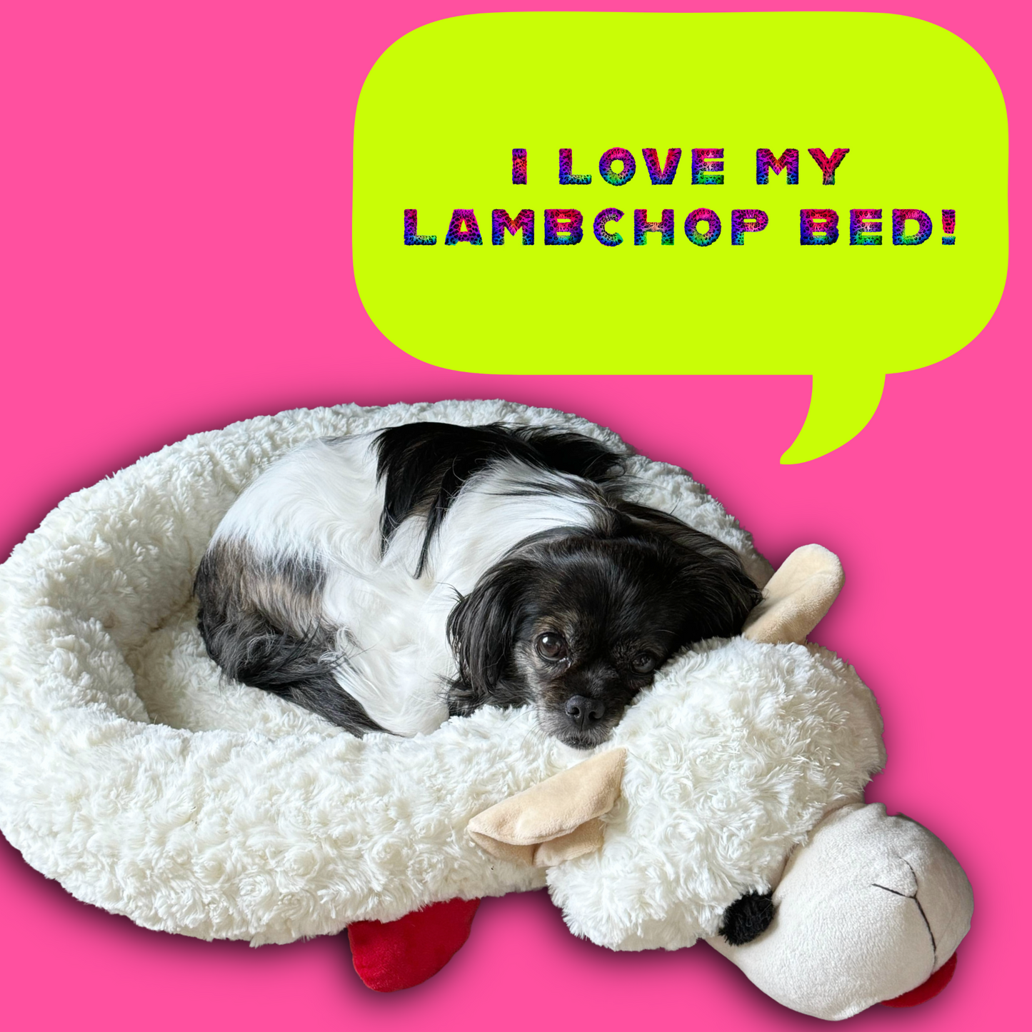 Lambchop Bed