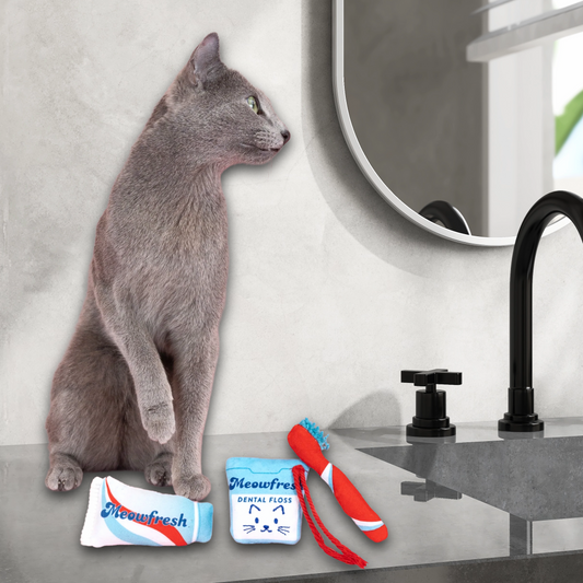 MINTY FRESH AF CAT TOY SET