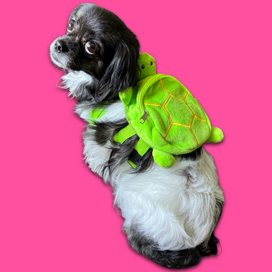 Turtle-y Cool Backpack