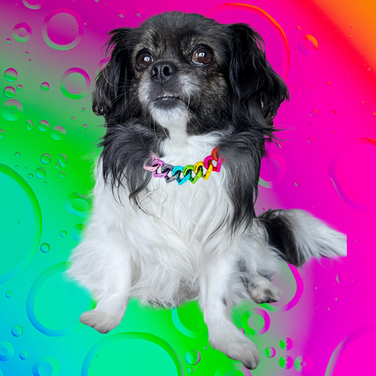 JUST LOVE ME Pet Necklace