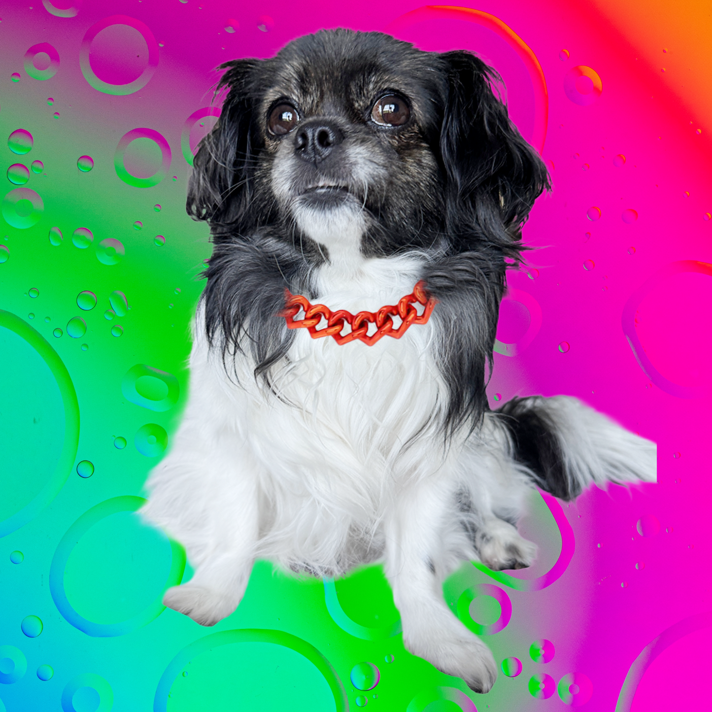 JUST LOVE ME Pet Necklace