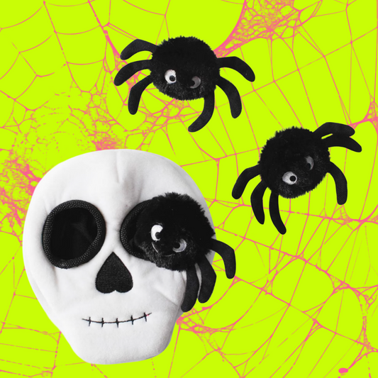 Spoopy Spooder Hide 'N Seek Toy