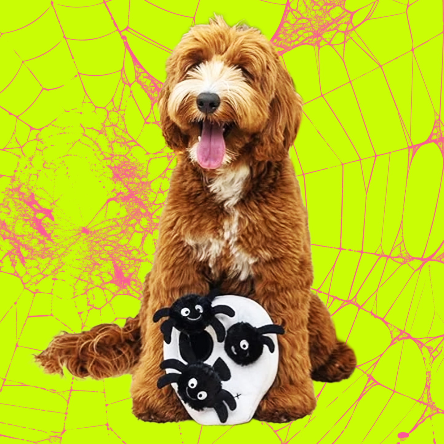 Spoopy Spooder Hide 'N Seek Toy