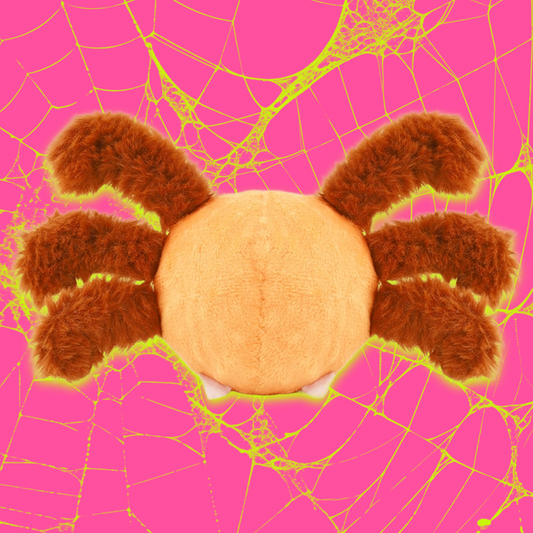 Spooky Spooder Dog Toy