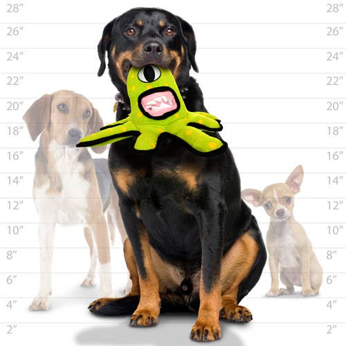 Alien VS Dog TOUGH TOY