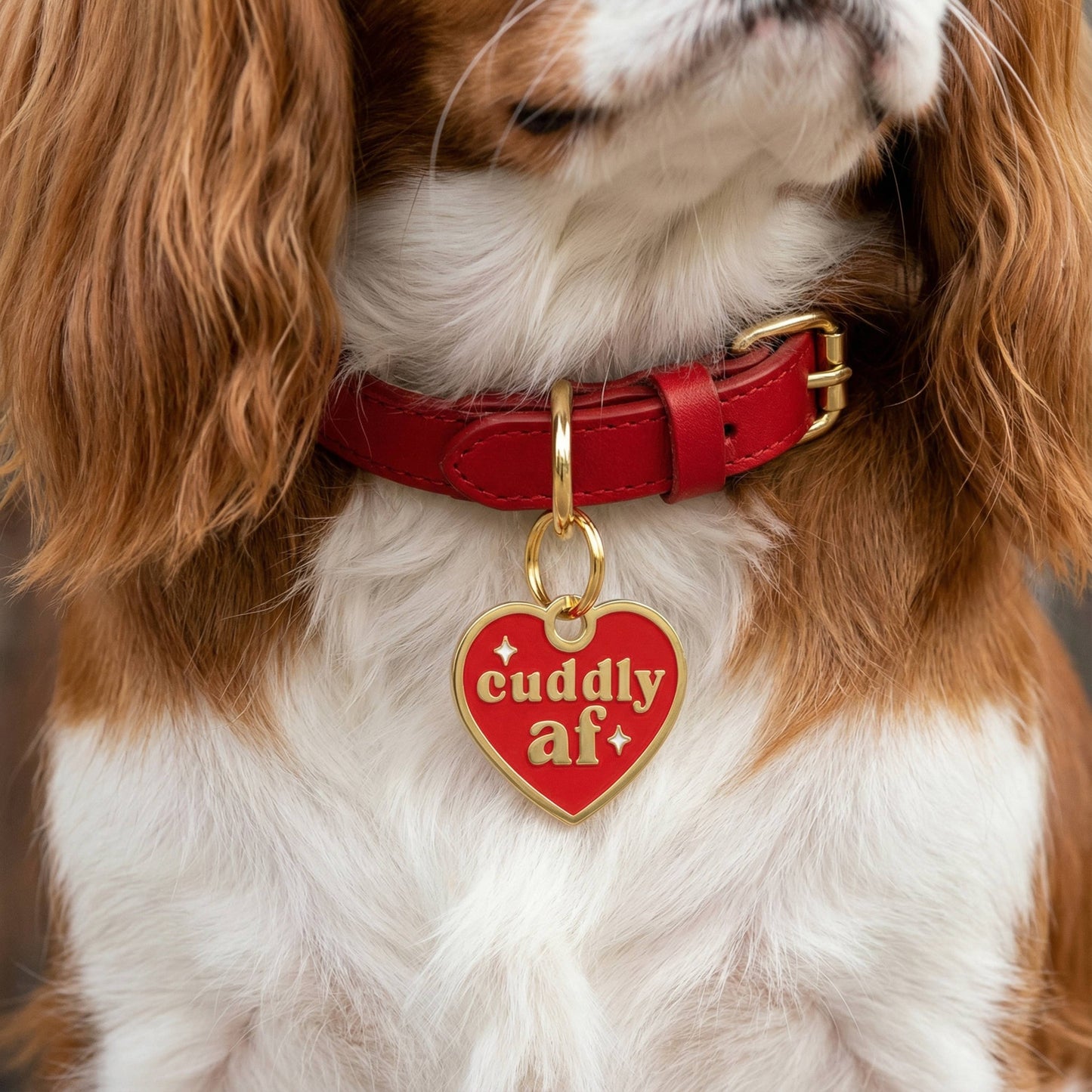 Cuddly AF Collar Tag
