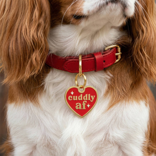 Cuddly AF Collar Tag
